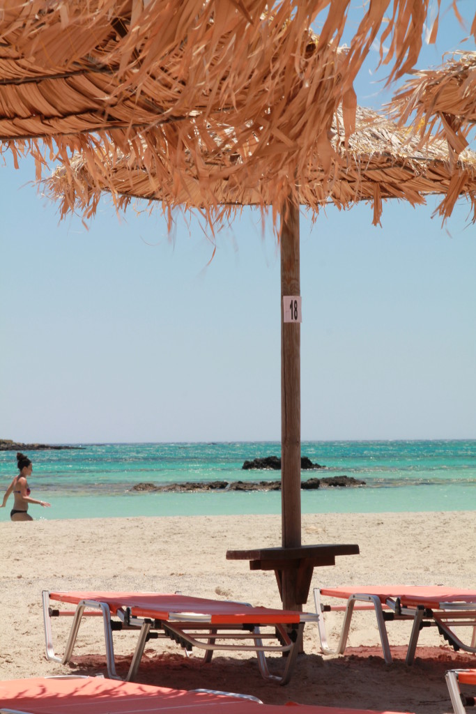 Fot. Tomasz Jakubowski