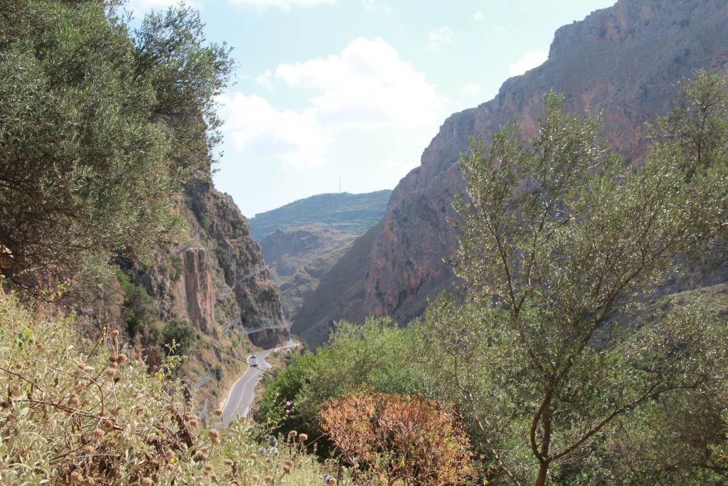 Fot. Tomasz Jakubowski