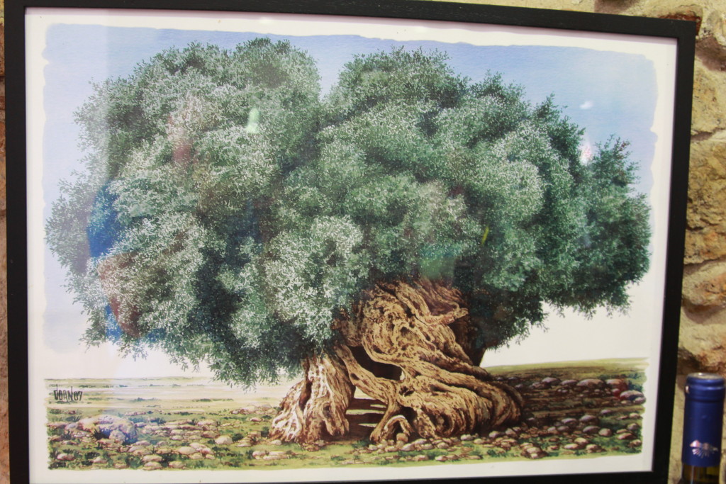 Fot. Tomasz Jakubowski