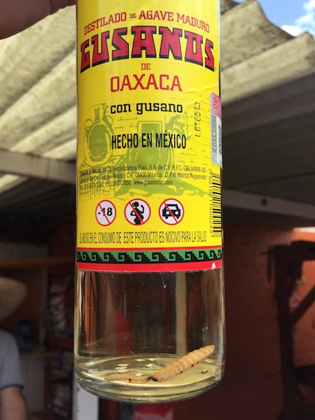 Fot. Tomasz Jakubowski / MojeWedrowki.pl / Mezcal con gusano