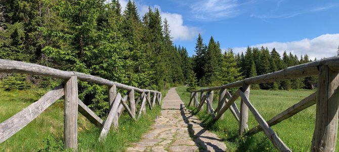 Wędrówka po szlakach w Karkonoszach