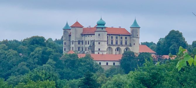 Zamek w Wiśniczu