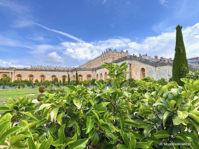Widok na Wersal z ogrodów