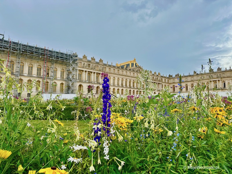 Widok na Pałac w Wersalu z ogrodów