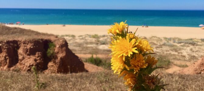 Algarve – rejon kurortów – ale nie tylko